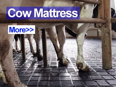 cow mat