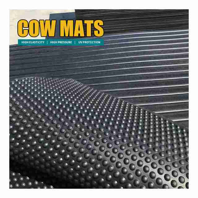 Dairy Farm Cow Mat China Manufacturer